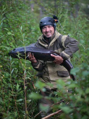 Рыбалка на трофейного тайменя на реке Гонам