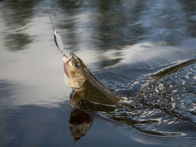 Советы по рыбалке со своего опыта