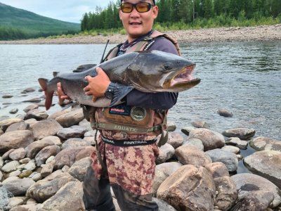 Таймень. Все о самом крупном лососе нашей планеты.