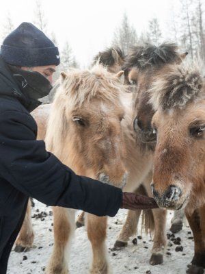 Автопутешествие Якутск - Оймякон - Магадан (Зимний сезон)