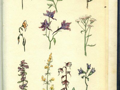 Сколько лет туризму в Якутии?