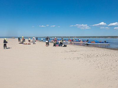 Луковый Сплав - 2024