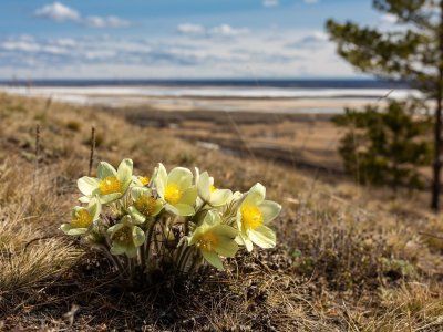 Табагинский мыс