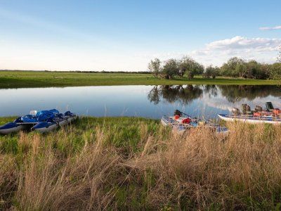 Луковый Сплав - 2024