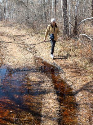 Весеннее пробуждение. Пешая экскурсия по Табагинскому Мысу
