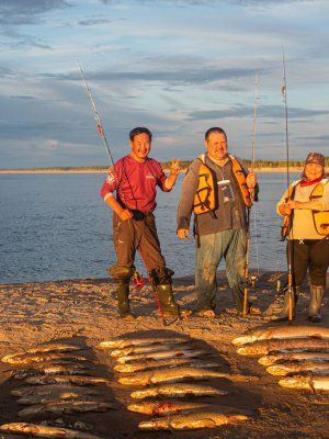 Трофейная рыбалка на реке Вилюй. Маршрут: п. Кысыл Сыр - устье р. Вилюй (до Лены)