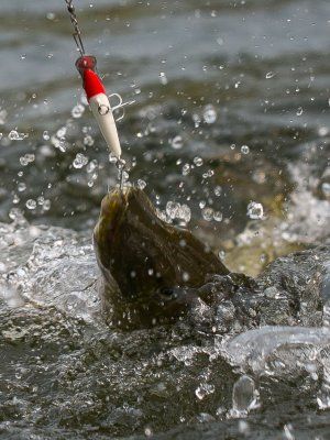 Рыбалка на реках Алдан, Томпо, Хандыга, Барайы, Тукулан, Келя, Тумара