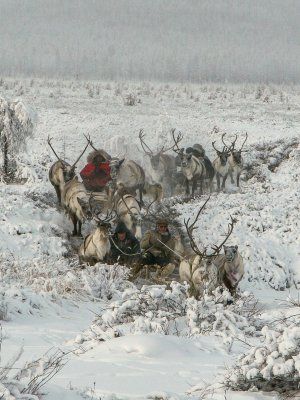 Автопутешествие Якутск - Оймякон - Магадан (Зимний сезон)