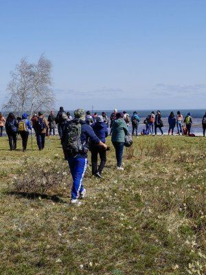 Весеннее пробуждение. Пешая экскурсия по Табагинскому Мысу