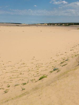 Сплав по реке Лена с посещением Ленских Столбов, тукуланов-песков Самыс Кумага и Кысыл Элэсин