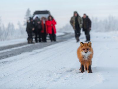 Рекомендации по одежде, обуви, снаряжению в зимних турах