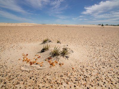 Тукуланы Вилюя