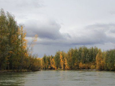 Река Индигирка