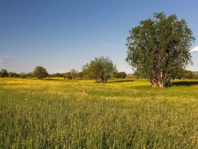 Отзывы туристов по водным походам выходного дня "По тукуланам реки Лена"