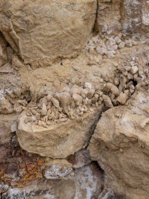 Сплав, отдых и рыбалка на реке Амга. Маршрут: Верхняя Амга - Оннес (390 км.)