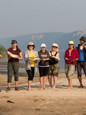 "Золотые Скалы реки Синяя". Синские, Ленские Столбы