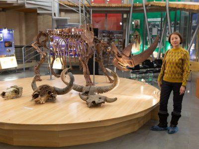 Музей Мамонта