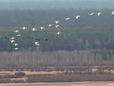 По Кангаласскому Мысу