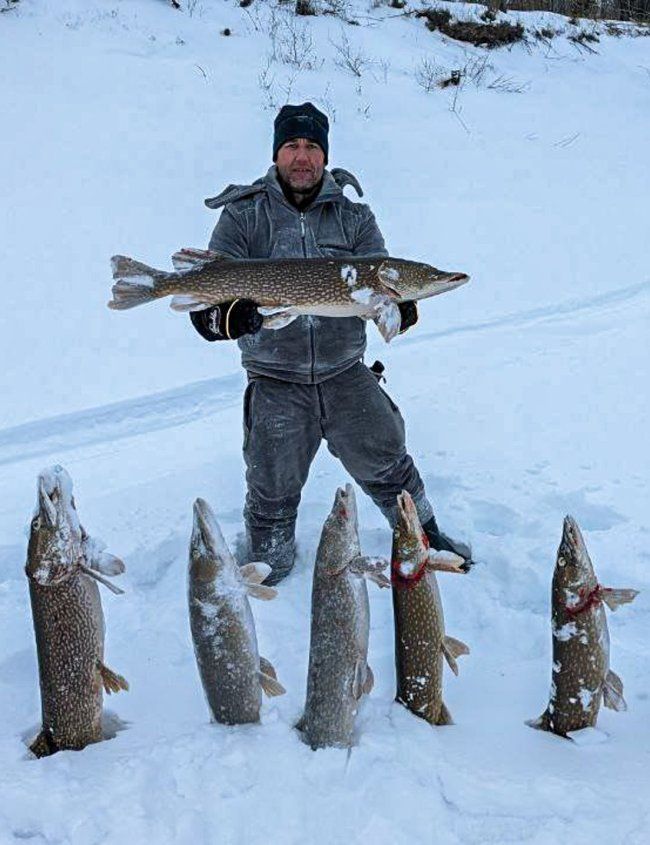 Эксклюзивная трофейная рыбалка на Вилюе: нетронутые места, гарантированный улов. Туры в Якутии Турмаршруты в Якутии