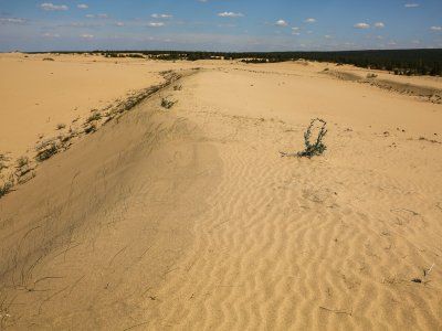Тукулан Самыс Кумага