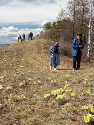 Весеннее пробуждение. Пешая экскурсия по Табагинскому Мысу