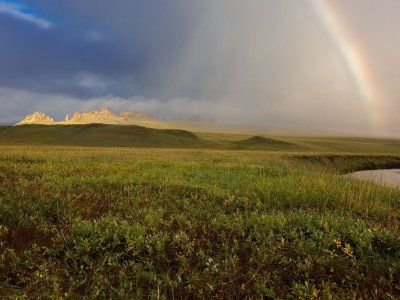 Каменные Люди Сундуруна