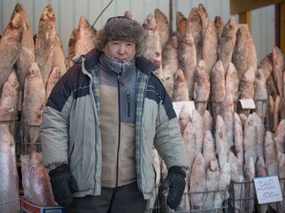 О строганине