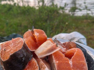 Неизведанными тропами. В горах хребта Сунтар Хаята (Томпо - Оймякон)