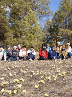 Весеннее пробуждение. Пешая экскурсия по Табагинскому Мысу