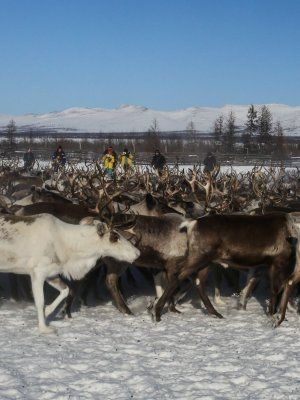 «Discovery of Arctic Yakutia»