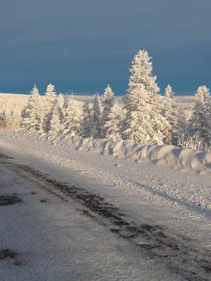 Автопутешествие Якутск - Оймякон - Магадан (Зимний сезон)