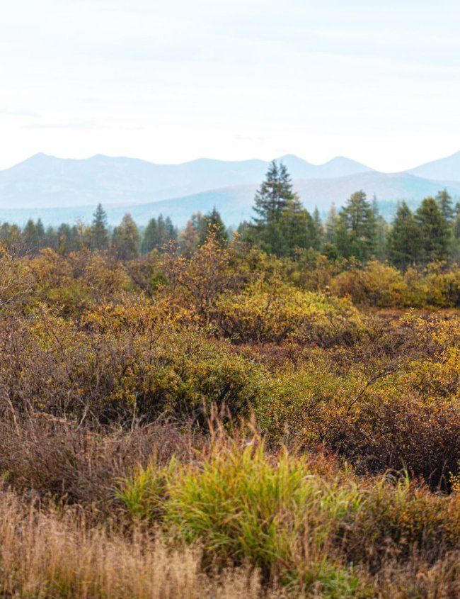 Автопутешествие "Якутск - Оймякон - Магадан" (Летний сезон) Туры в Якутии Турмаршруты в Якутии