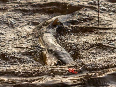 Советы по рыбалке со своего опыта