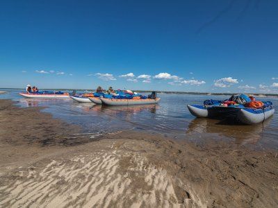 Луковый Сплав - 2024