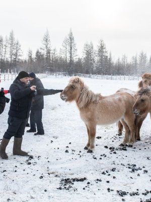 Арктическая автоэкспедиция "Индигирка". Якутск – Оймякон – Чокурдах – Русское Устье