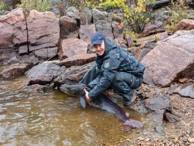Таймень. Все о самом крупном лососе нашей планеты.