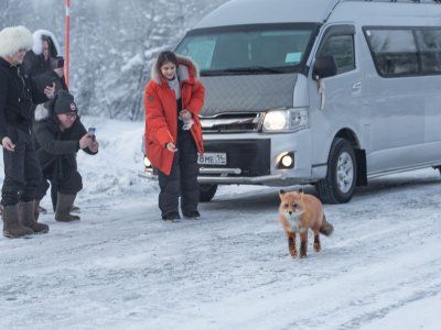 Автодорога "Колыма"