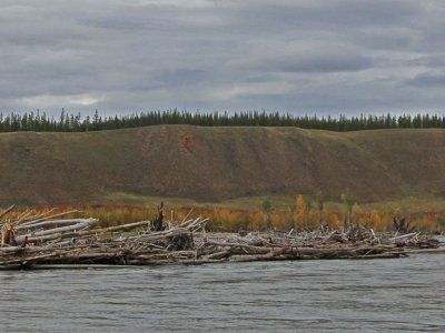 Река Индигирка