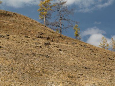 К Древним вулканам долины Туймаада