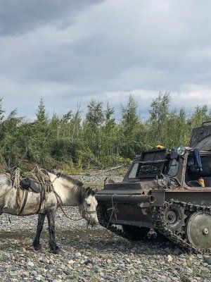 На вершину Якутии!  Восхождение на гору Мус Хая (2959 м)