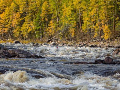 Знакомство с "Арктикой"