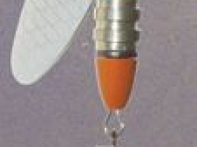 Советы по рыбалке со своего опыта