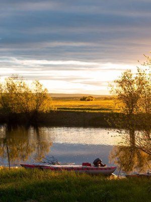 Луковый сплав