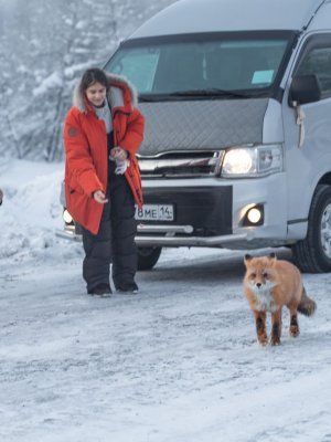 Автопутешествие Якутск - Оймякон - Магадан (Зимний сезон)