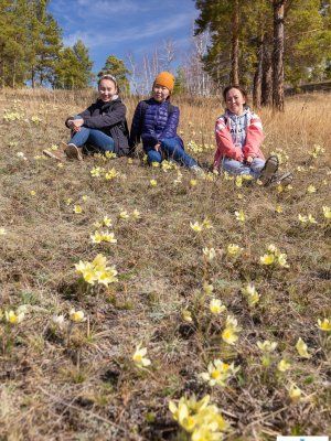 Весеннее пробуждение. Пешая экскурсия по Табагинскому Мысу