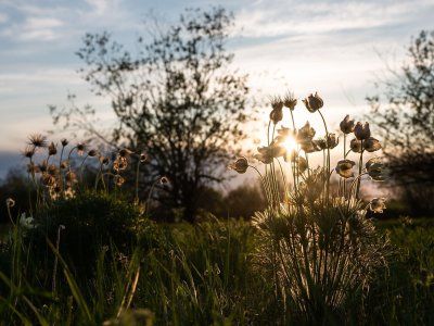 Отзывы с Лукового Сплава - 2023