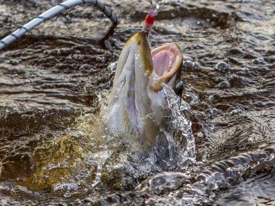 Советы по рыбалке со своего опыта