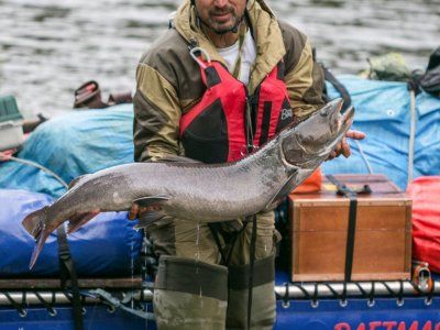 Таймень. Все о самом крупном лососе нашей планеты.