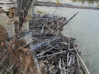 Река Индигирка