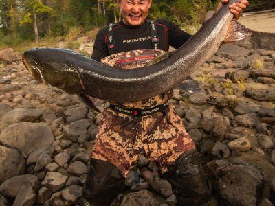 Таймень. Все о самом крупном лососе нашей планеты.